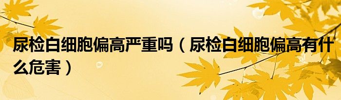 尿检白细胞偏高严重吗（尿检白细胞偏高有什么危害）