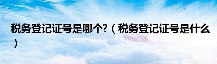 税务登记证号是哪个?（税务登记证号是什么）