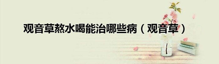观音草熬水喝能治哪些病（观音草）