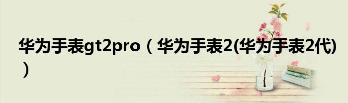 华为手表gt2pro（华为手表2(华为手表2代)）