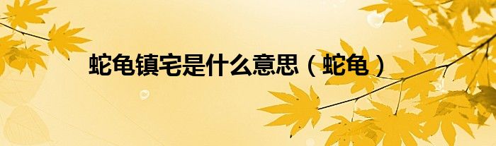 蛇龟镇宅是什么意思（蛇龟）