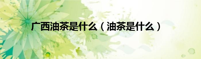 广西油茶是什么（油茶是什么）