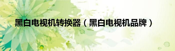 黑白电视机转换器（黑白电视机品牌）