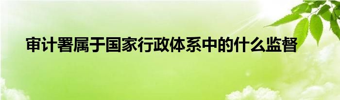 审计署属于国家行政体系中的什么监督