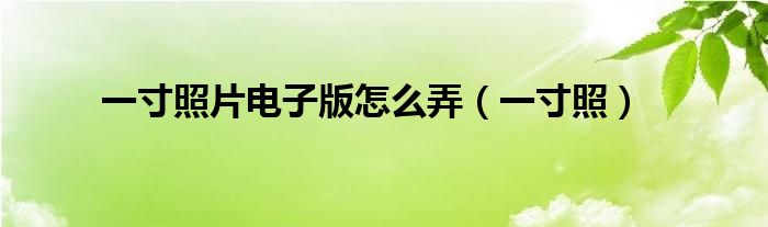 一寸照片电子版怎么弄（一寸照）