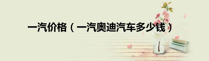 一汽价格（一汽奥迪汽车多少钱）