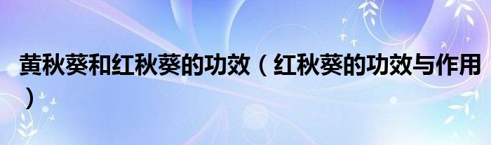 黄秋葵和红秋葵的功效（红秋葵的功效与作用）
