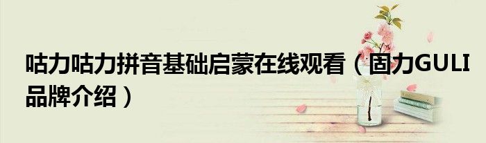 咕力咕力拼音基础启蒙在线观看（固力GULI品牌介绍）