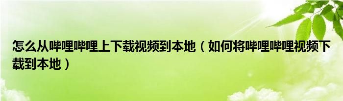 怎么从哔哩哔哩上下载视频到本地（如何将哔哩哔哩视频下载到本地）